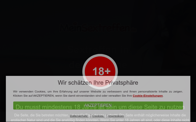 MeinSextreffen.de Erfahrungen