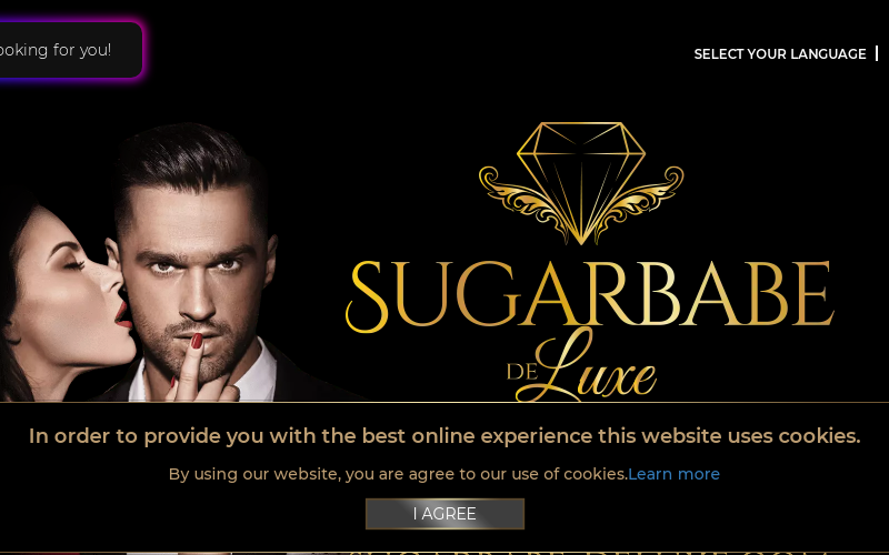 SugarBabe-Deluxe.com Erfahrungen