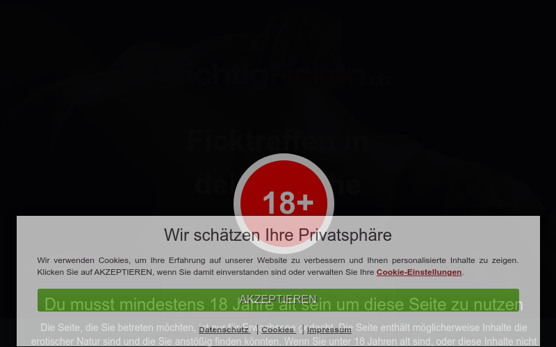 RichtigFicken.ch Erfahrungen