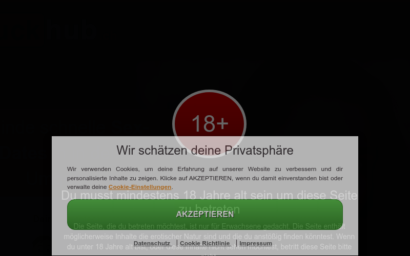 FuckHub.ch Erfahrungen