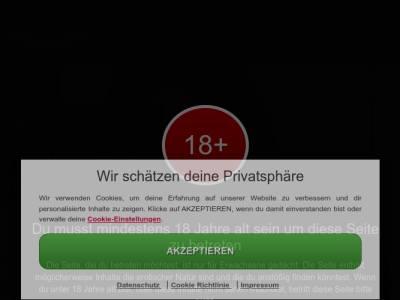 Schneller6.com Erfahrungen