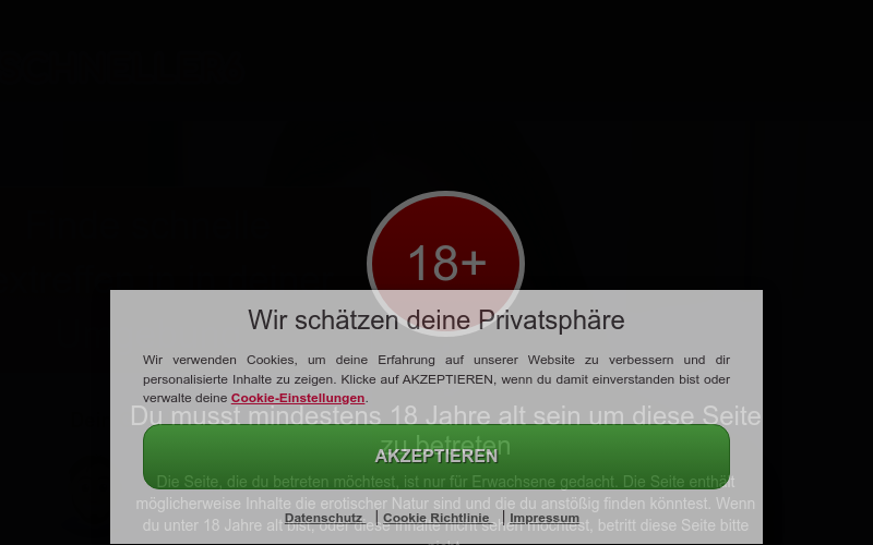 Schneller6.com Erfahrungen