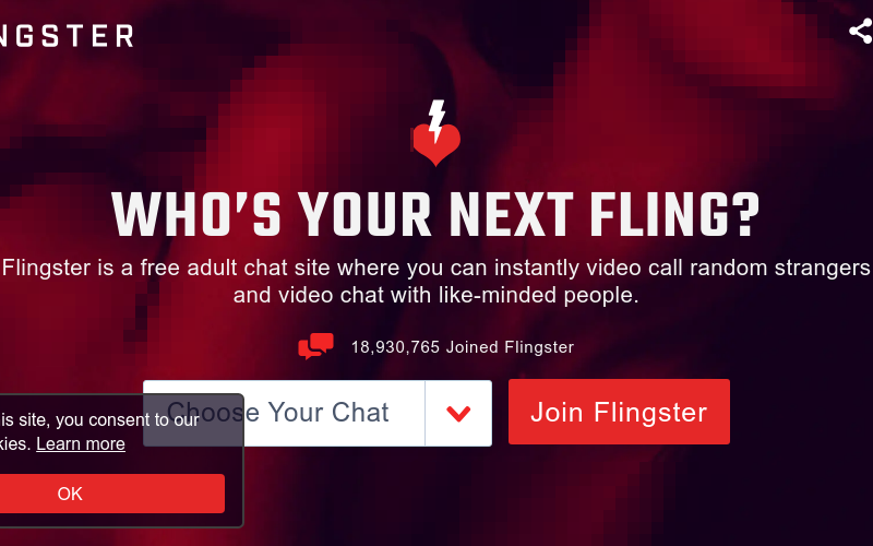 Flingster.com Erfahrungen