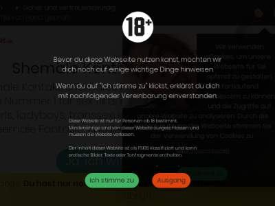 ShemaleKontakt.de Erfahrungen
