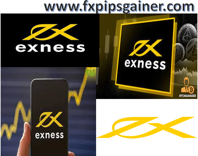 Everything You Need to Know About Exness Trading Account